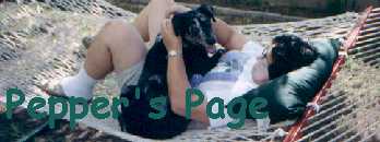 Pepper's Page banner